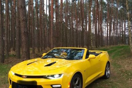 Chevrolet Camaro 49.500 km 33.900 &euro; Barmstedt 25355