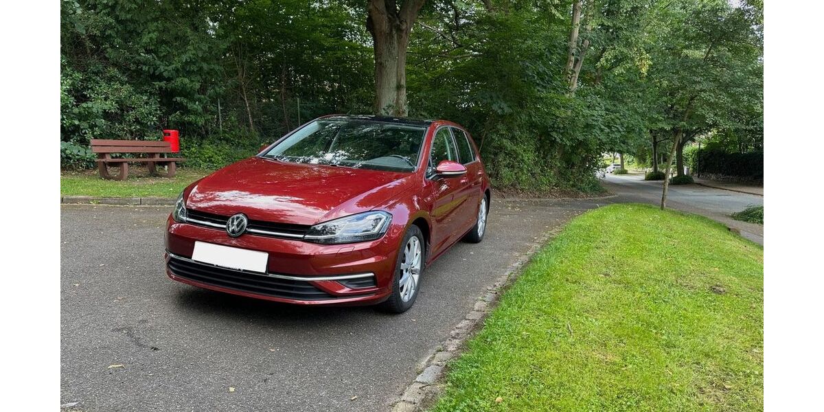 VW Golf 55.500 km 15.990 &euro; Bad Oldesloe 23843