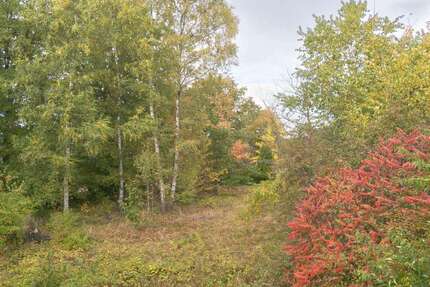 Grundstück Quickborn - 1.600.000&euro; | Angebot:23316171