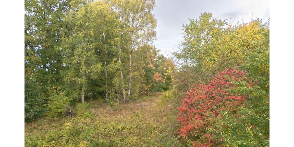 Grundstück Quickborn - 1.600.000&euro; | Angebot:23316171