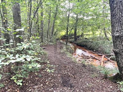 ATTRAKTIV FÜR FREIZEIT ODER IDEAL FÜR PROJEKTIERER - Grundstück Pinneberg | Angebot:26029765