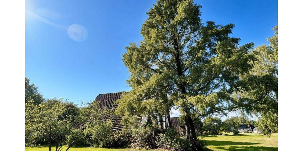 Einfamilienhaus Hamburg Wilhelmsburg - 3 Zimmer, 100 m&sup2;, 299.000&euro; | Angebot:25811518