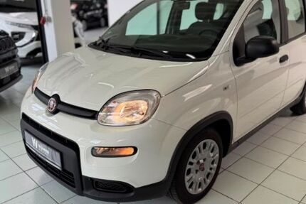 Fiat Panda 29.368 km 10.990 &euro; Hamburg 22525