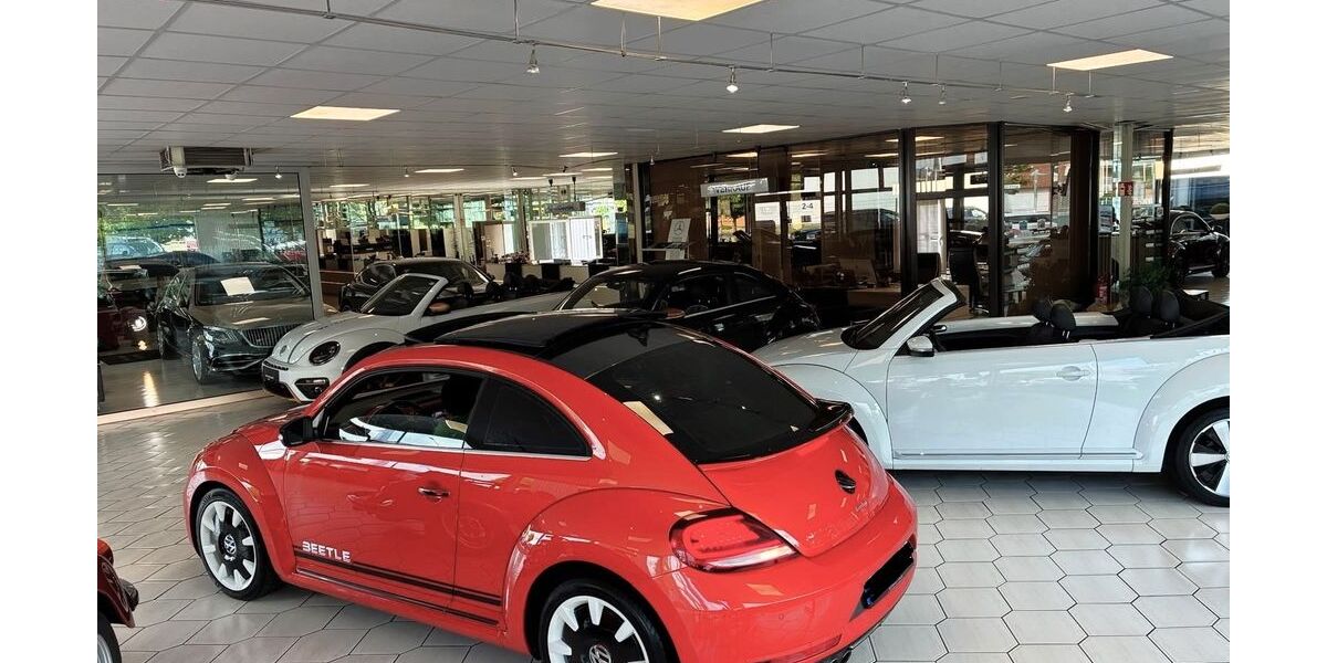 VW Beetle 86.600 km 24.900 &euro; Barmstedt 25355