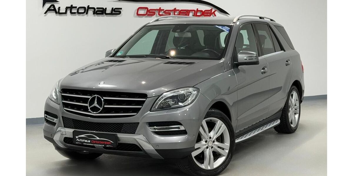 Mercedes-Benz ML 250 213.600 km 13.990 &euro; Oststeinbek 22113