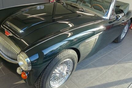 Austin Healey Andere 6.500 km 64.000 &euro; Henstedt-Ulzburg 24558