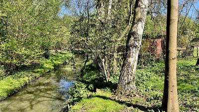 WO TRÄUME WACHSEN - IHR NEUES ZUHAUSE WARTET - Grundstück Hamburg Hamburg-Mitte | Angebot:25537531