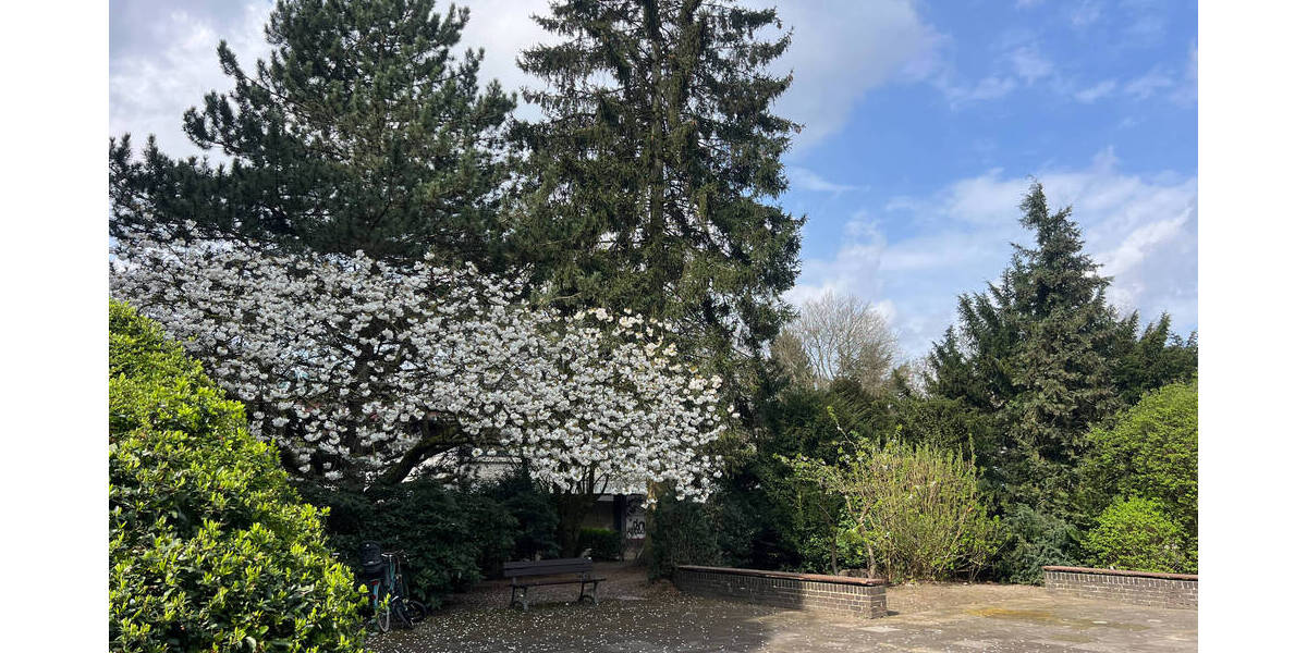 Etagenwohnung Hamburg Wandsbek - 1 Zimmer, 48 m&sup2;, 194.000&euro; | Angebot:25802020