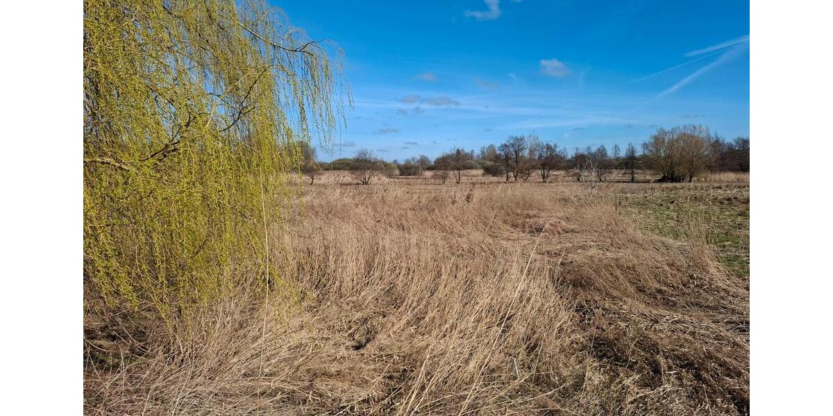 Etagenwohnung Pinneberg - 2 Zimmer, 56 m&sup2;, 170.000&euro; | Angebot:25971319