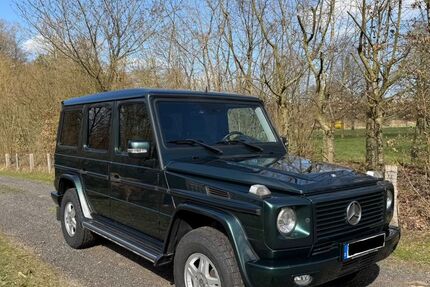 Mercedes-Benz G 320 197.500 km 42.499 &euro; Hamburg 20149