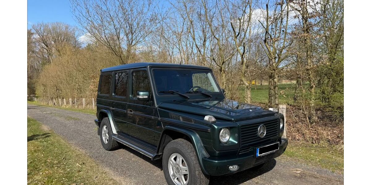 Mercedes-Benz G 320 197.500 km 42.499 &euro; Hamburg 20149