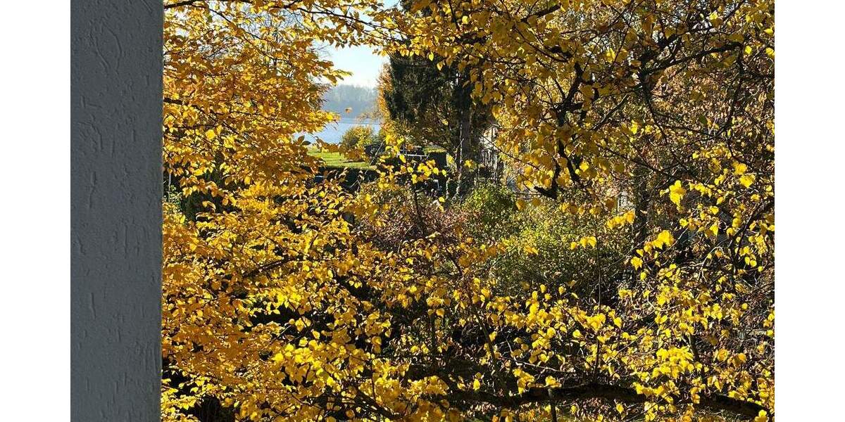 Etagenwohnung Wedel - 2 Zimmer, 62 m&sup2;, 225.000&euro; | Angebot:25779076