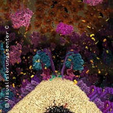 Die Chemie des Lebens – Das Unsichtbare in uns 3D 29.05.2026 Planetarium Hamburg