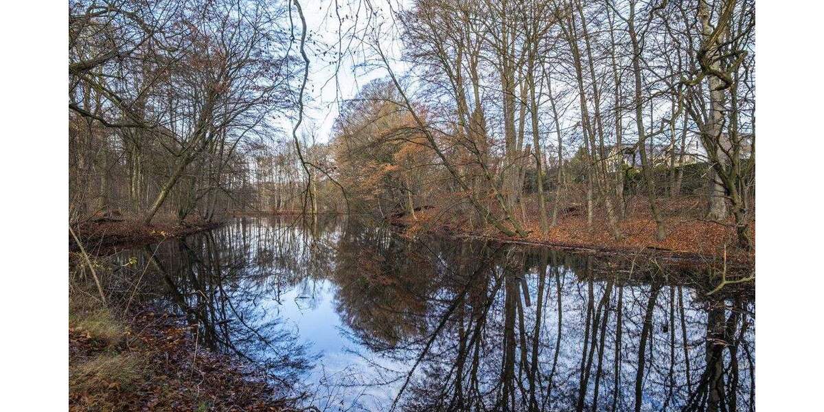 Einfamilienhaus Hamburg Volksdorf - 8 Zimmer, 200 m&sup2;, 1.690.000&euro; | Angebot:25680513