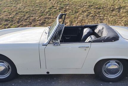 Austin Healey Andere 80.000 km 9.900 &euro; Hamburg 22043