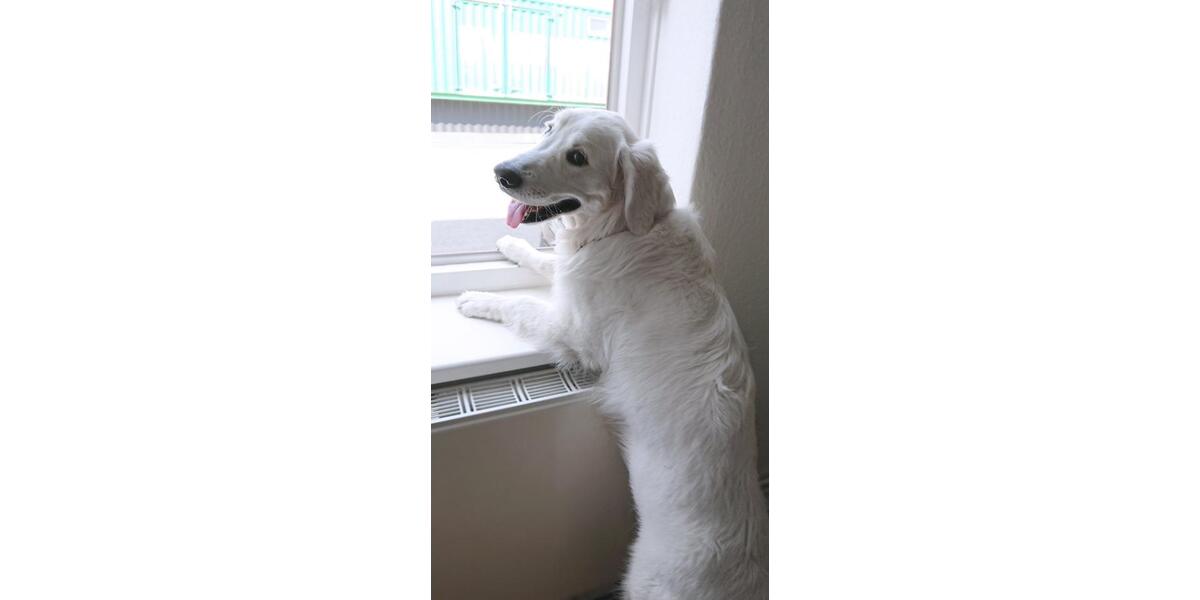 Gewerbeobjekt Hamburg Altona-Nord - 714&euro; | Angebot:25867475