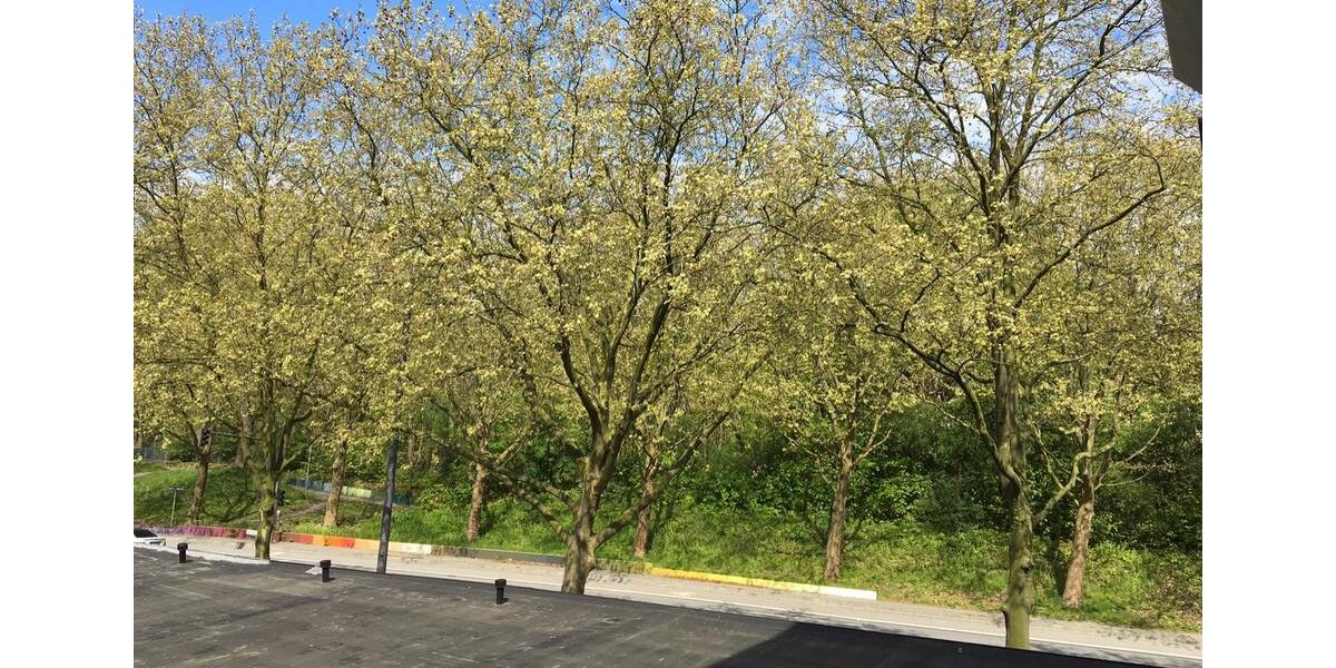 Etagenwohnung Hamburg Borgfelde - 2 Zimmer, 58 m&sup2;, 300.000&euro; | Angebot:25181611