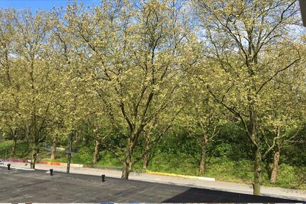 Wohnung Hamburg Borgfelde - 2 Zimmer, 58 m&sup2;, 300.000&euro; | Angebot:25181611