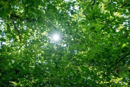 Grundstück Hamburg Altona - 2.950.000&euro; | Angebot:26037318