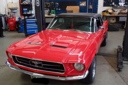 Ford Mustang 92.203 km 55.000 &euro; Hamburg 22396