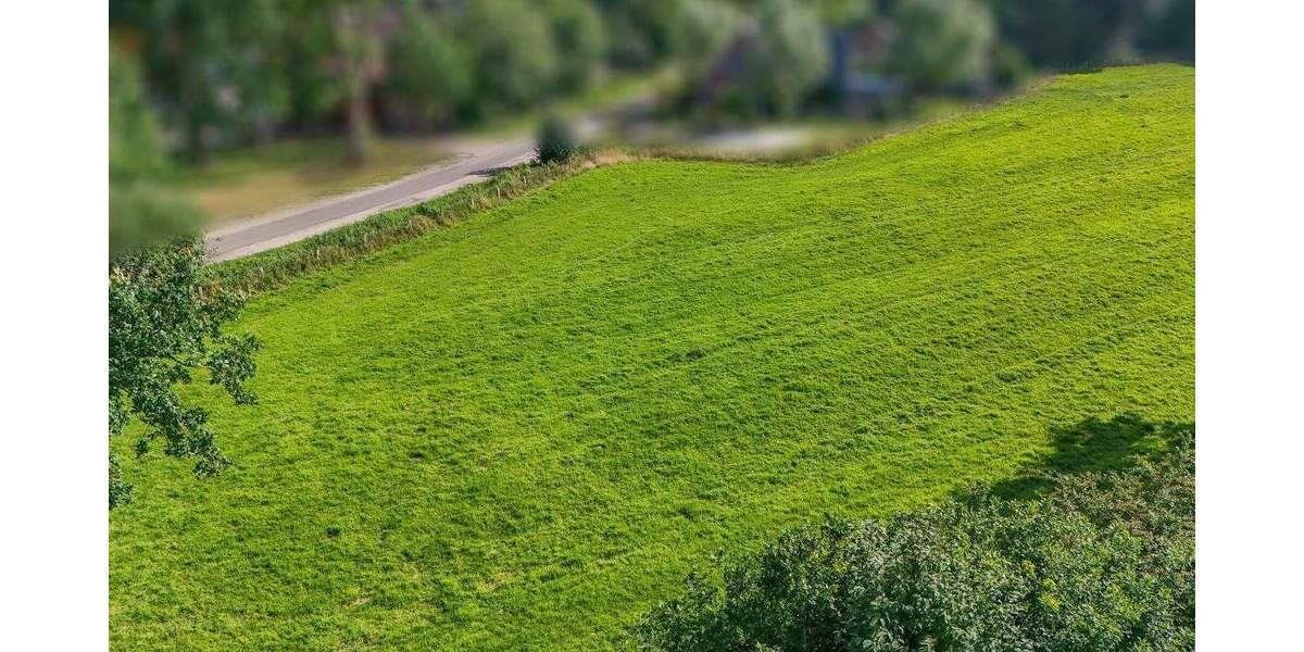 Grundstück Brande-Hörnerkirchen Hörnerkirchen - 295.000&euro; | Angebot:25668117