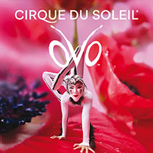 Premium Tickets - Cirque du Soleil - OVO 21.04.2027 Barclays Arena