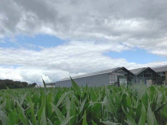 Grundstück Kisdorf - 1.178.000&euro; | Angebot:25666367