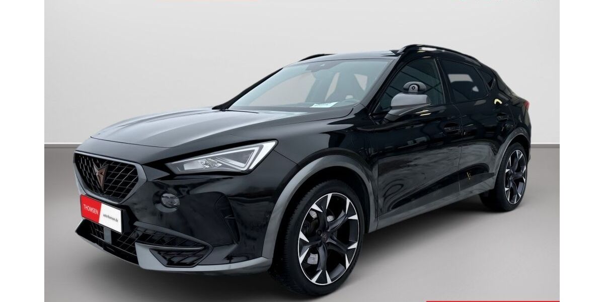 Cupra Formentor 84.174 km 24.985 &euro; Kaltenkirchen 24568