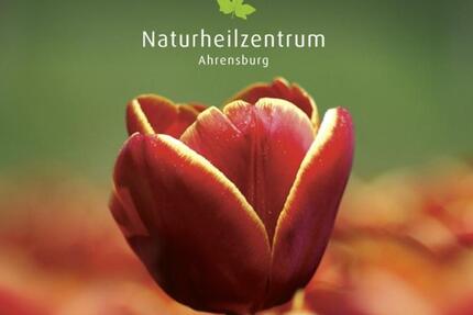 Gewerbeobjekt Ahrensburg - 300&euro; | Angebot:25658645