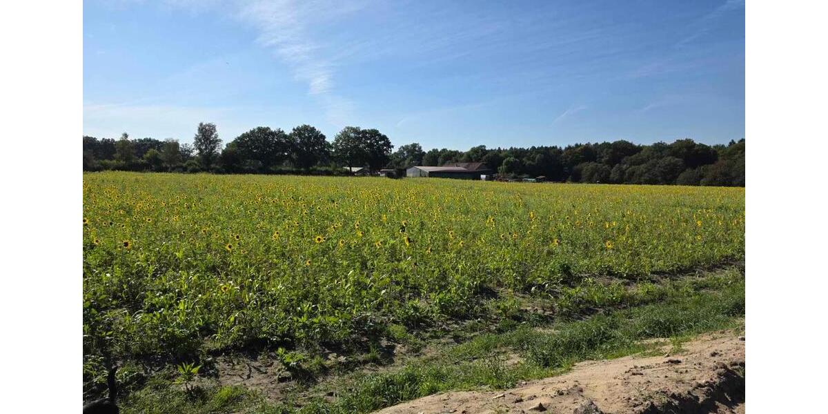 Einfamilienhaus Tangstedt - 1.980.000&euro; | Angebot:22453983