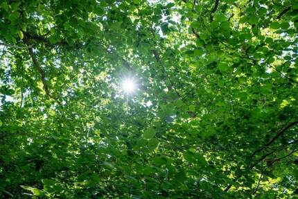 Grundstück Hamburg Blankenese - 2.950.000&euro; | Angebot:25670588