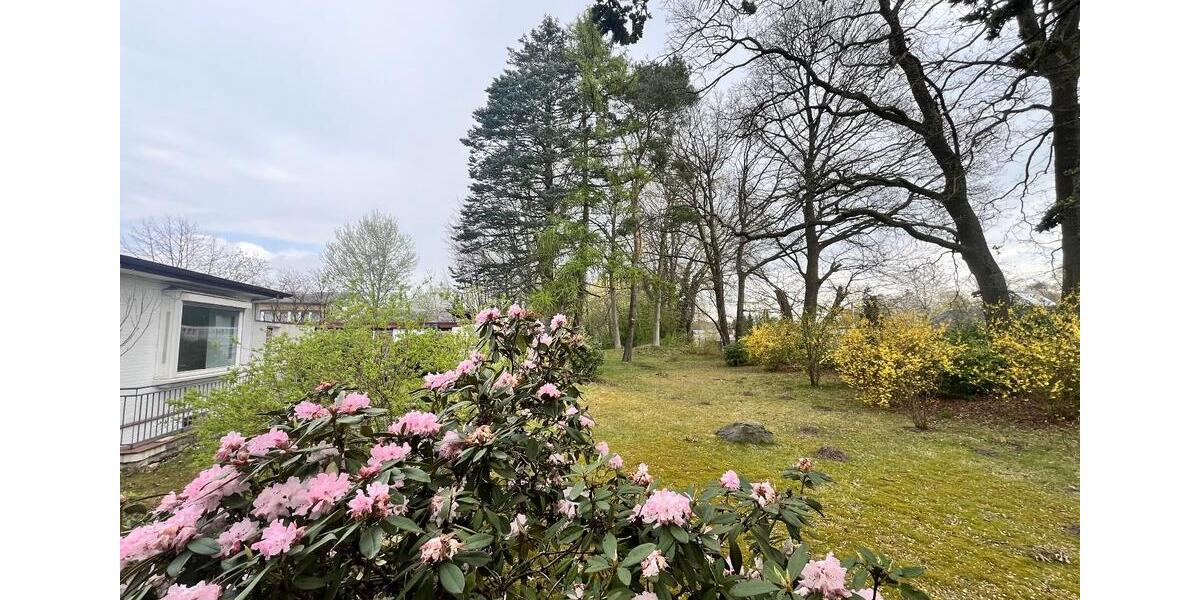 Gewerbeobjekt Barsbüttel - 1.500&euro; | Angebot:26518054