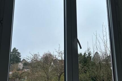 Wohnung Hamburg Wandsbek - 1 Zimmer, 40 m&sup2;, 750&euro; | Angebot:25990609