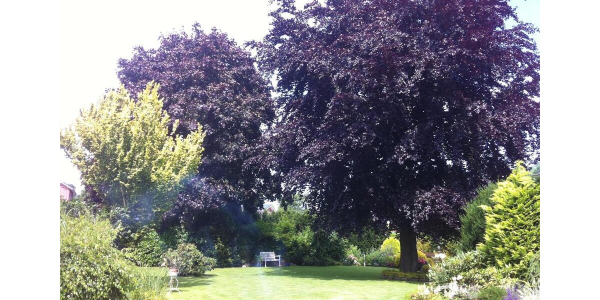 Einfamilienhaus Henstedt-Ulzburg Ulzburg - 5 Zimmer, 117 m&sup2;, 1.950&euro; | Angebot:25179815