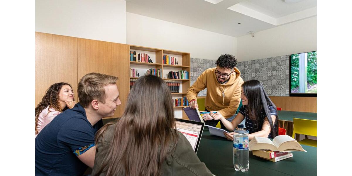 Erdgeschoßwohnung Hamburg Wandsbek - 1 Zimmer, 18 m&sup2;, 895&euro; | Angebot:25546485