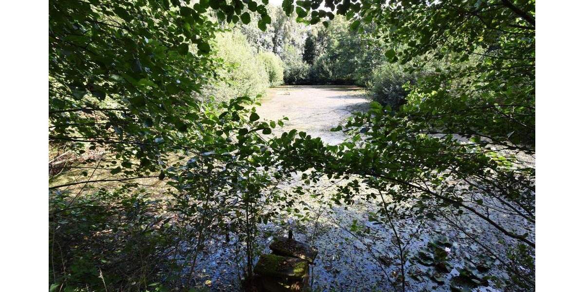 Grundstück Rausdorf - 129.000&euro; | Angebot:25726908