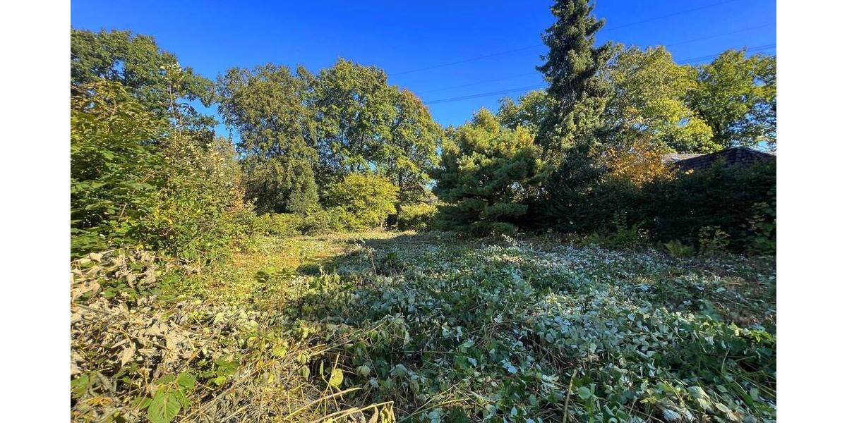 Grundstück HAMBURG VOLKSDORF Volksdorf - 935.000&euro; | Angebot:25700315