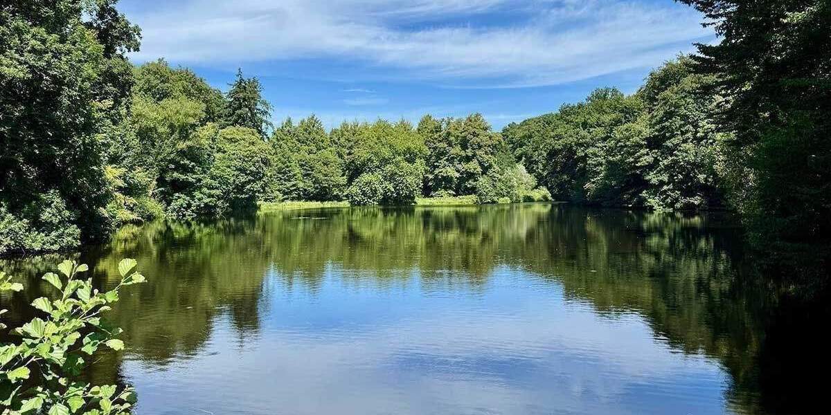 Etagenwohnung Hamburg Poppenbüttel - 3 Zimmer, 799.900&euro; | Angebot:25802242