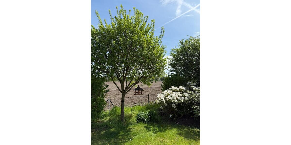 Doppelhaushälfte Oststeinbek - 2 Zimmer, 125 m&sup2;, 619.000&euro; | Angebot:26883419