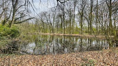 WOHNEN AM PARK - Grundstück Hamburg Farmsen-Berne Berne | Angebot:25537525