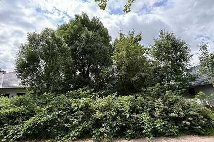 Grundstück Hamburg-Bergedorf-Lohbrügge Lohbrügge - 349.000&euro; | Angebot:21711856