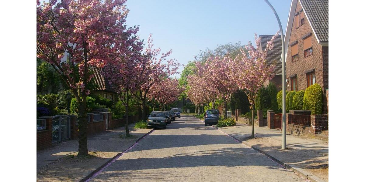 Dachgeschoßwohnung Hamburg Alsterdorf - 2 Zimmer, 48 m&sup2;, 889&euro; | Angebot:25967519