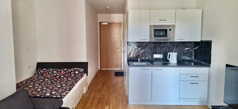 Etagenwohnung Hamburg Hamburg-Mitte - 1 Zimmer, 30 m&sup2;, 1.000&euro; | Angebot:25895329