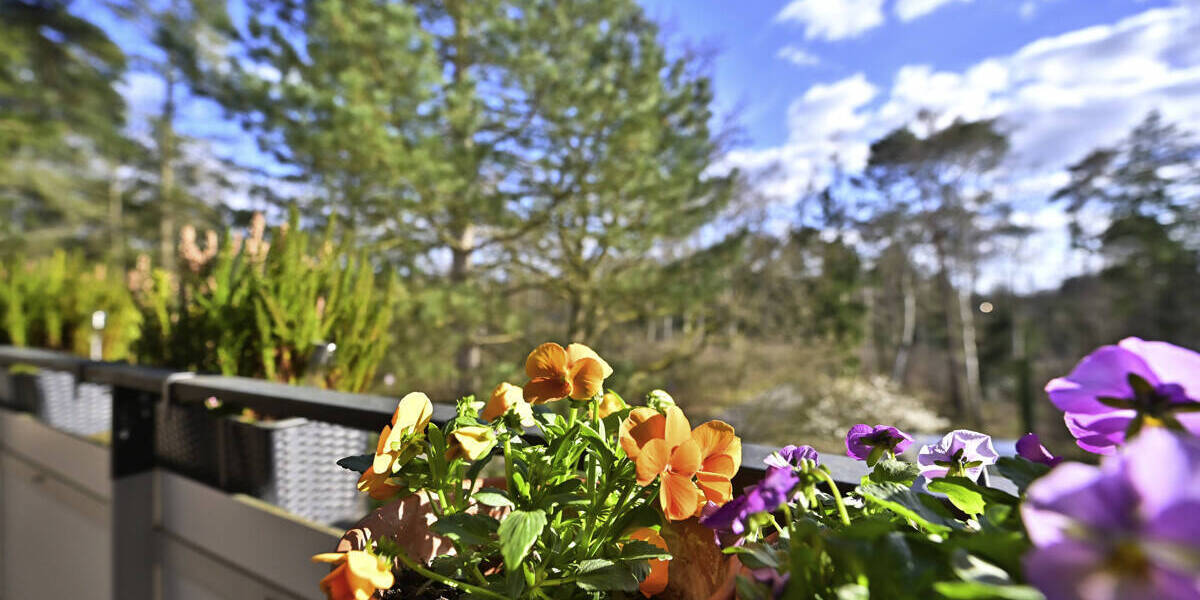 Etagenwohnung Wedel - 2 Zimmer, 61 m&sup2;, 215.000&euro; | Angebot:26028897